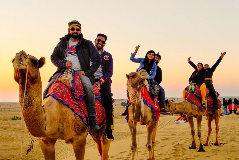 Camel Safari